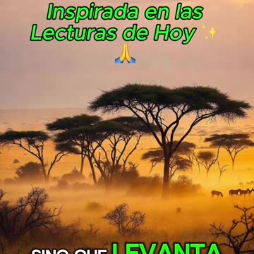 🙏✨ Oración Inspirada en las Lecturas de Hoy ✨🙏