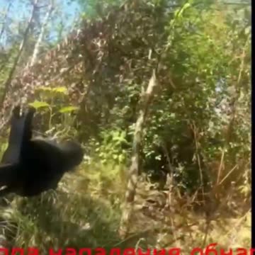 Ukriane war combat footage 10/1/25