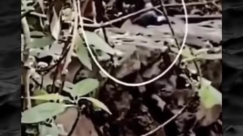 👻💥 Unexplainable Paranormal Chaos Caught on Tape! | TheHauntingHour