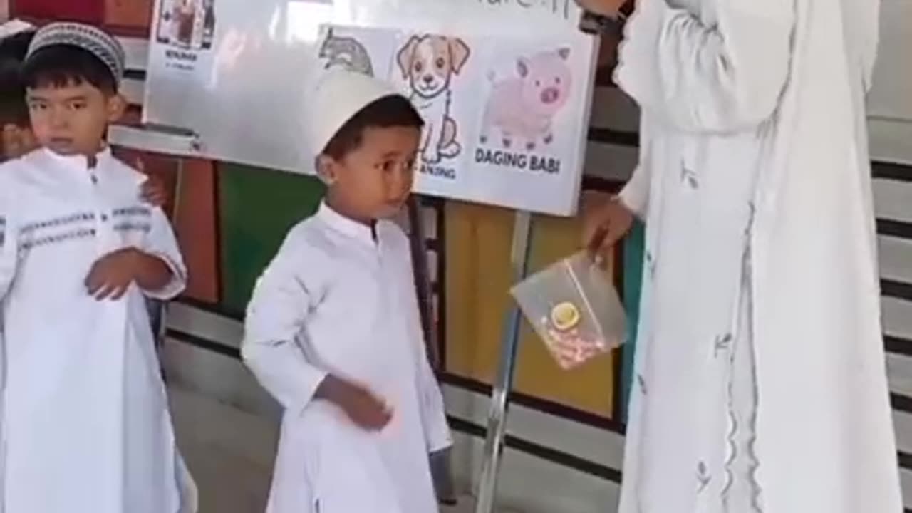 Learn to Recognize Animals