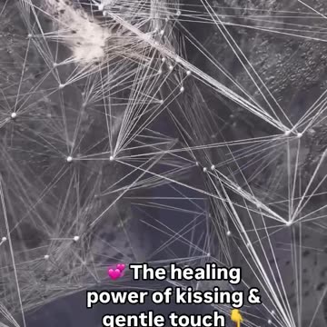 The Science & Soul of Touch: Why Kissing & Connection Heal You 💋✨
