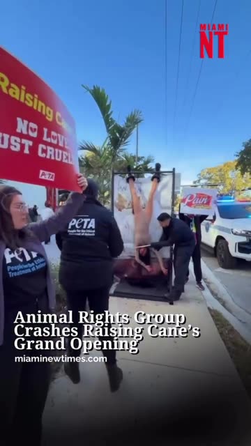 Animal Rights Group Protesting Chicken Places