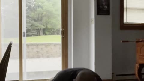 Exercising Everyday till I'm fit Day 25 #exercise #fitness