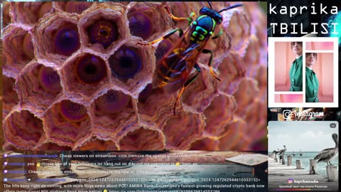 #KAPRIKA MEDIA | Welcome to a next-gen glossy video journal, where every frame is a neural creation.