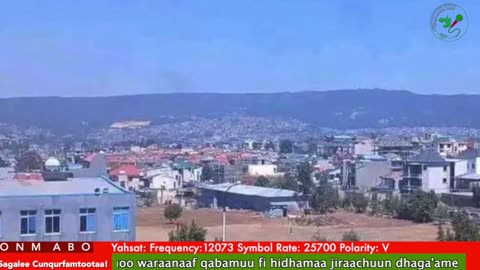 Oduu Ganama ONM-ABO Sadaasa 11-2025 itti dhiyaadhaa!