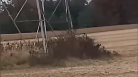 😨👻 4 Creepy Videos That Will Give You Chills | TheHauntingHour