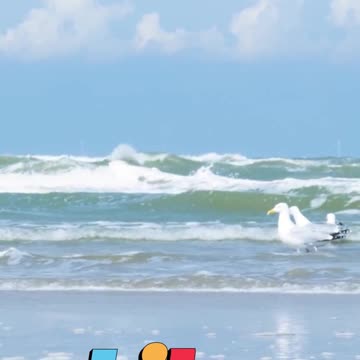 😊 146 DIOS CUMPLE LO QUE DECLARA Salmo 89:34 😊