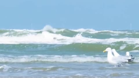 😊 146 DIOS CUMPLE LO QUE DECLARA Salmo 89:34 😊