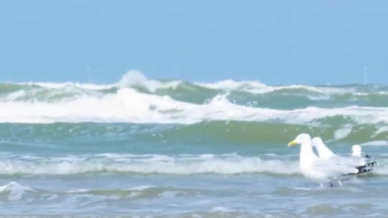 😊 146 DIOS CUMPLE LO QUE DECLARA Salmo 89:34 😊