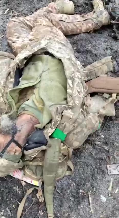 Ukraine war combat footage 1/11/25 Ukraine is winning,some how ?