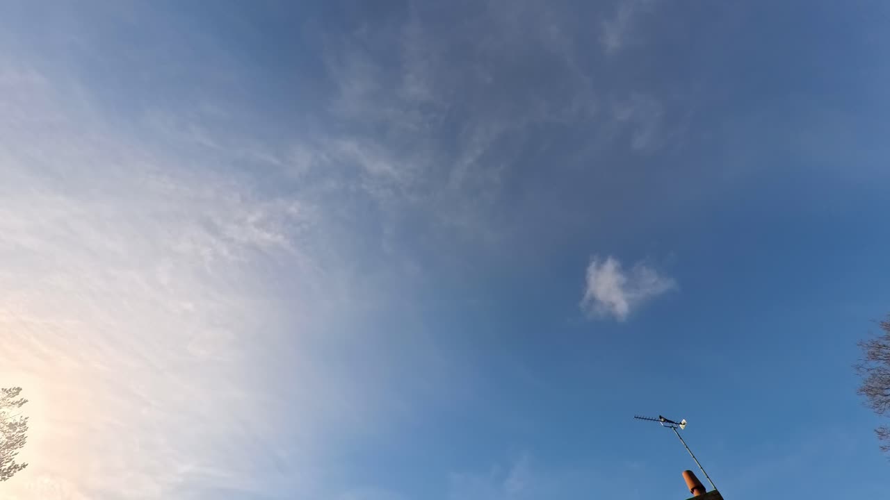 Sky Watch #502 - 3/2/2025