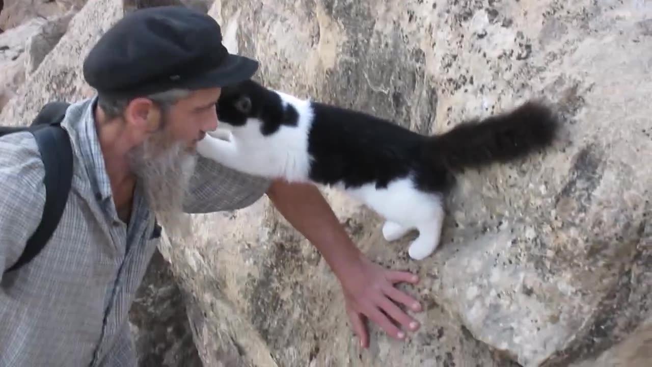 Our Cats #164 - Dad's Precious Moments With Panqueeñou The Cat | PART 3 of 5