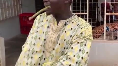 Cunning man die, cunning man bury am🤣🤣🤣🤣🤣