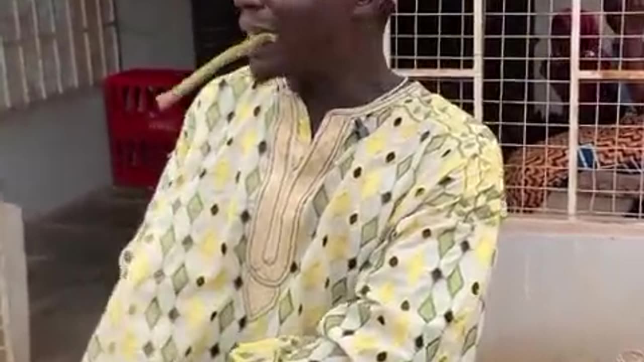 Cunning man die, cunning man bury am🤣🤣🤣🤣🤣