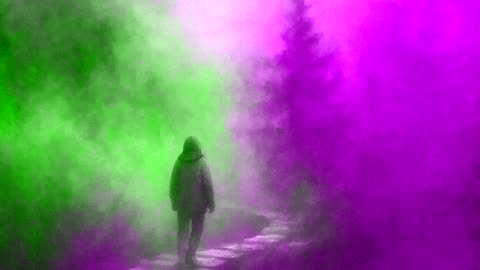 Through the Fog
