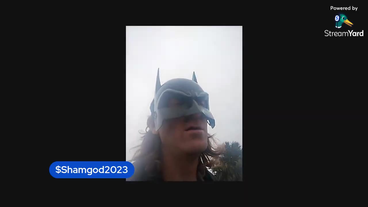 Batman Set 425 World Records!!!! 🦇