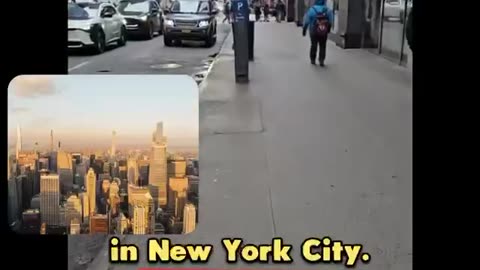 NY City illegals clean up shows in the streets