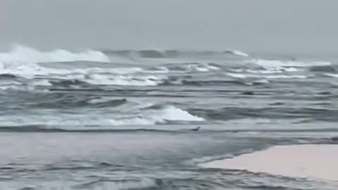 Illegal aliens landing at Solana Beach, California, this morning...