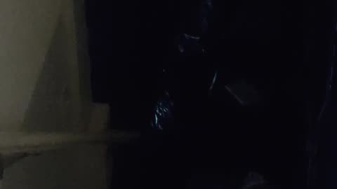 😨👻 CAN ANYONE SPOT THE GHOST? There is a ghost in my basement! | TheHauntingHour