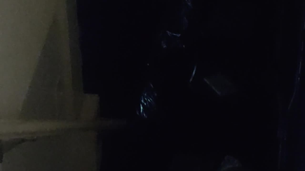 😨👻 CAN ANYONE SPOT THE GHOST? There is a ghost in my basement! | TheHauntingHour