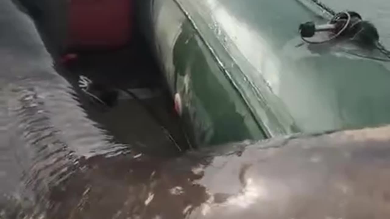 That’s not a fish that’s a whale 😱