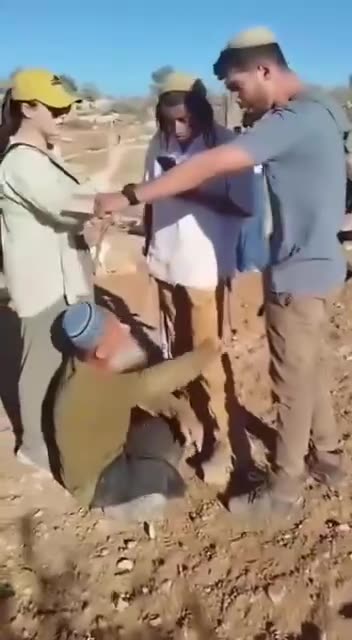 Jewish settlers attack disabled elderly Palestinian