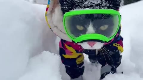 Rain or snow off to work I go