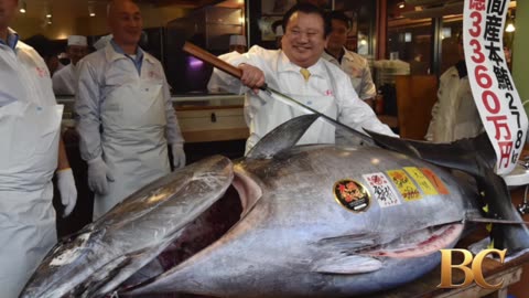 Massive bluefin tuna nets over $3 million at Tokyo auction