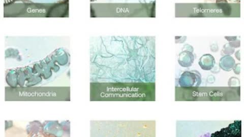 Advanced - Anti-Aging Masterwork Morphic Field submorphic