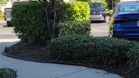 Morning Beach Adventure with My Only Travel Mate