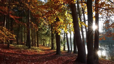 Antichrist 45 | Brother Paul's channel Praying to Charlie Kirk