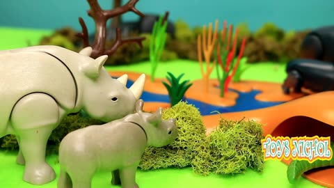 Five Flamengos Drinking with Two Bulls in an Outdoor Pool