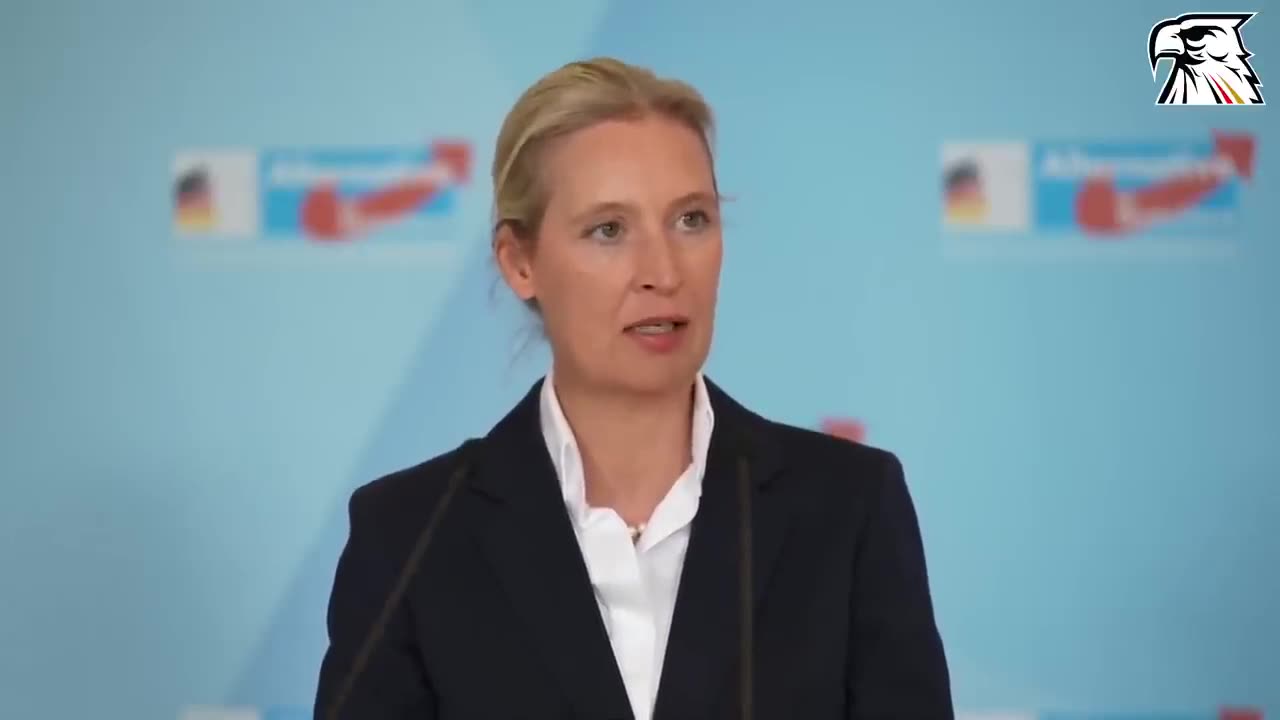 „Wenn Pistorius kämpfen will, soll er selbst gehen – und die ganze SPD-Jugend mitnehmen“