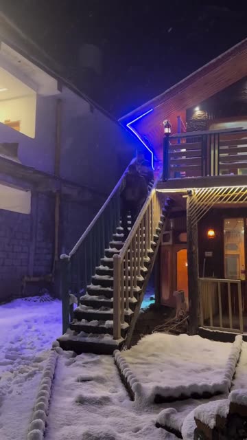 Epic Snowy Staircase Slip