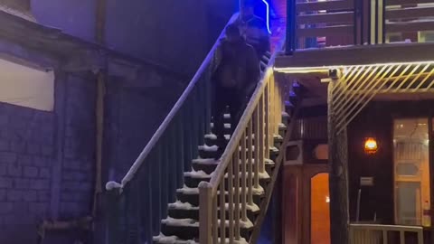 Epic Snowy Staircase Slip