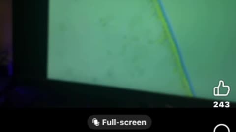 Whats in the snow?? WTF...