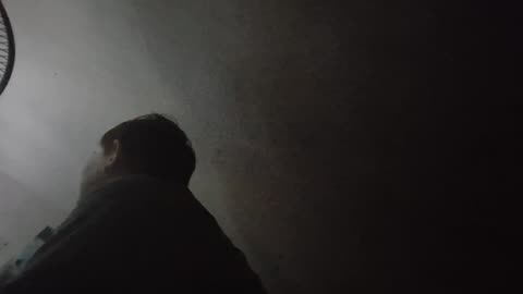 The Bug 2: "The Arachnid"