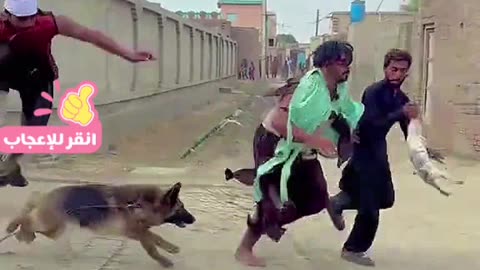 videos 2025,best funny videos 2024,fun 😀😂 #DILSHAD9 #shorts #short #youtubeshorts #Kwai