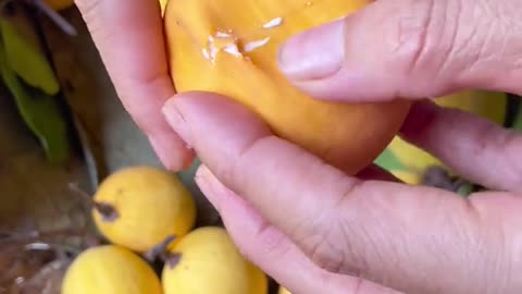 Colorful Fruit Mukbang | Fresh and Juicy Experience