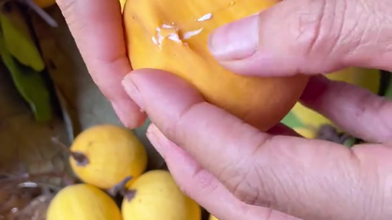 Colorful Fruit Mukbang | Fresh and Juicy Experience