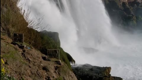 Daily Horoscope | Aquarius 🌟