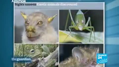 ✡️ Rabbi authorizes female Mossad agents to have sex.