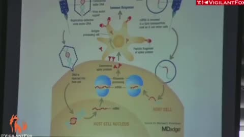 Dr. McCullough: I vaccini iniettano materiale genetico nelle cellule umane