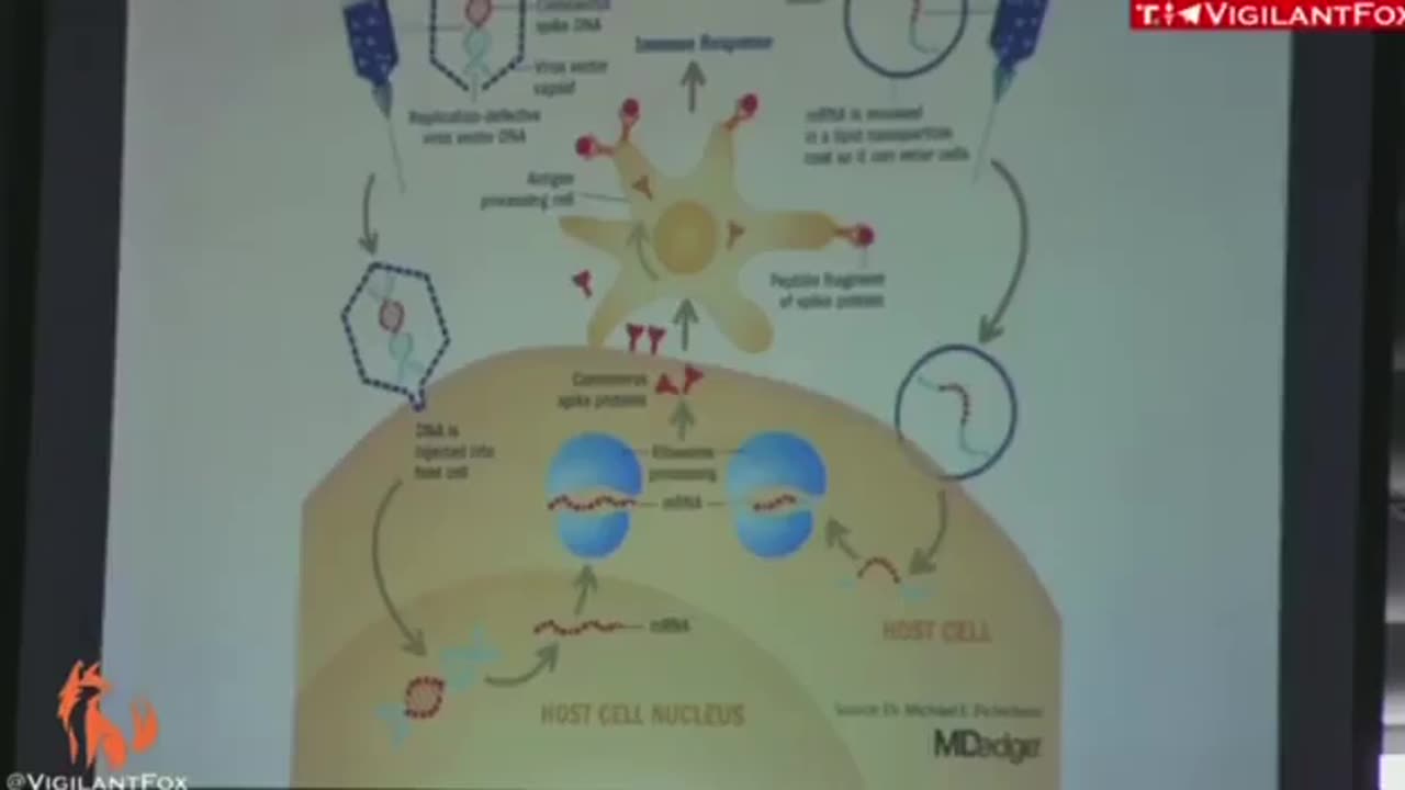 Dr. McCullough: I vaccini iniettano materiale genetico nelle cellule umane