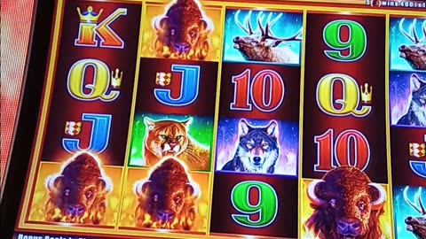 Buffalo Power Pay Bonus