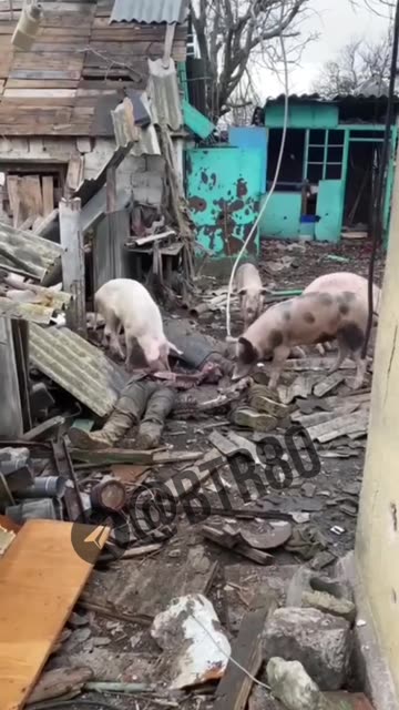 Ukraine war combat/related footage 12/29/25