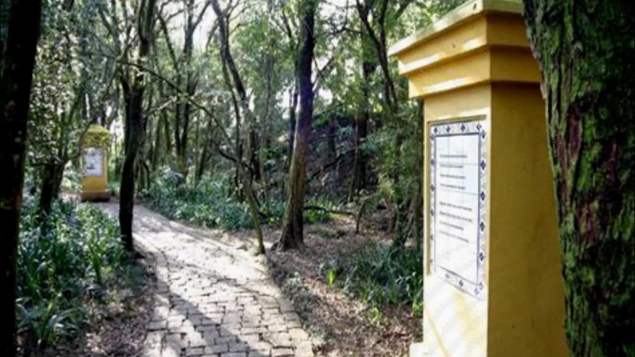 02.08 General-of-briggs-fortness-complete-version