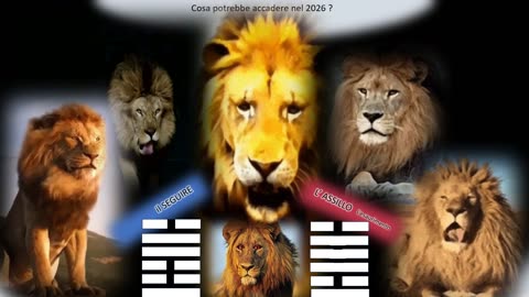 il leone non s' è addormentato (29-12-2025)