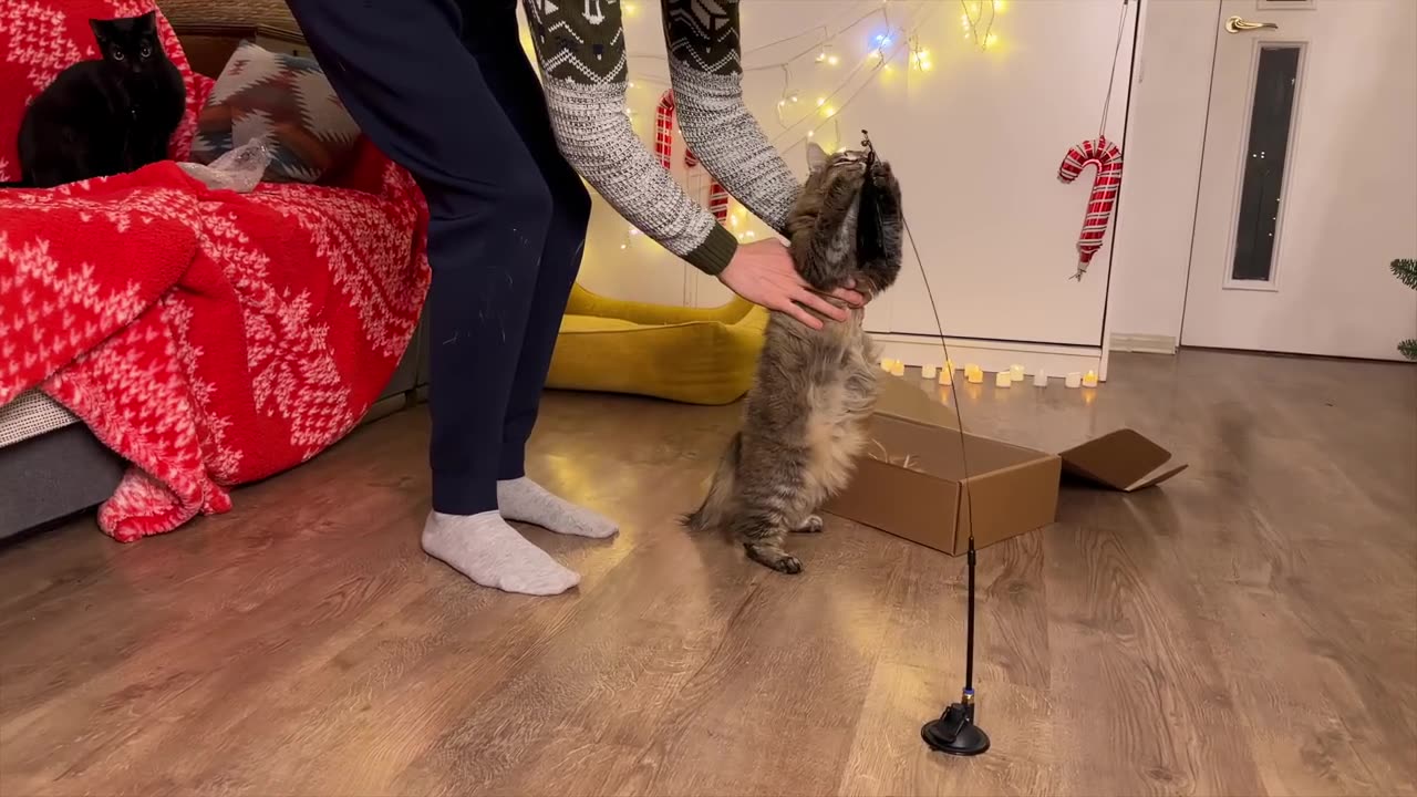 Funny Funny and leaning