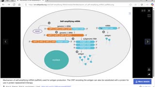 Grave Concerns Ep41 (Self-Amplifying mRNA (saRNA) therapy and bioweapon uses) by Dr. Paul Cottrell